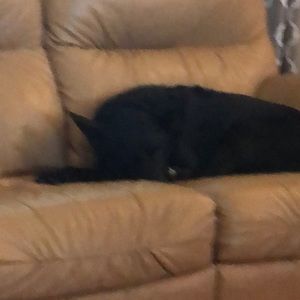 Meet your Posher, Kim